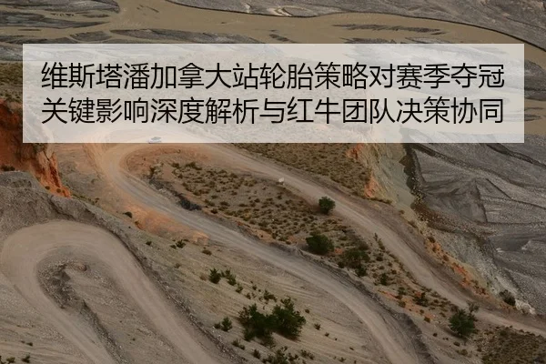维斯塔潘加拿大站轮胎策略对赛季夺冠关键影响深度解析与红牛团队决策协同