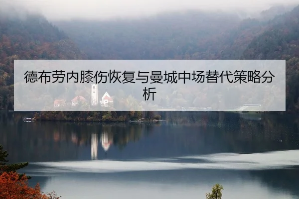 de-bu-lao-nei-xi-shang-hui-fu-yu-man-cheng-zhong-chang-ti-dai-ce-lve-fen-xi-2-868.jpg